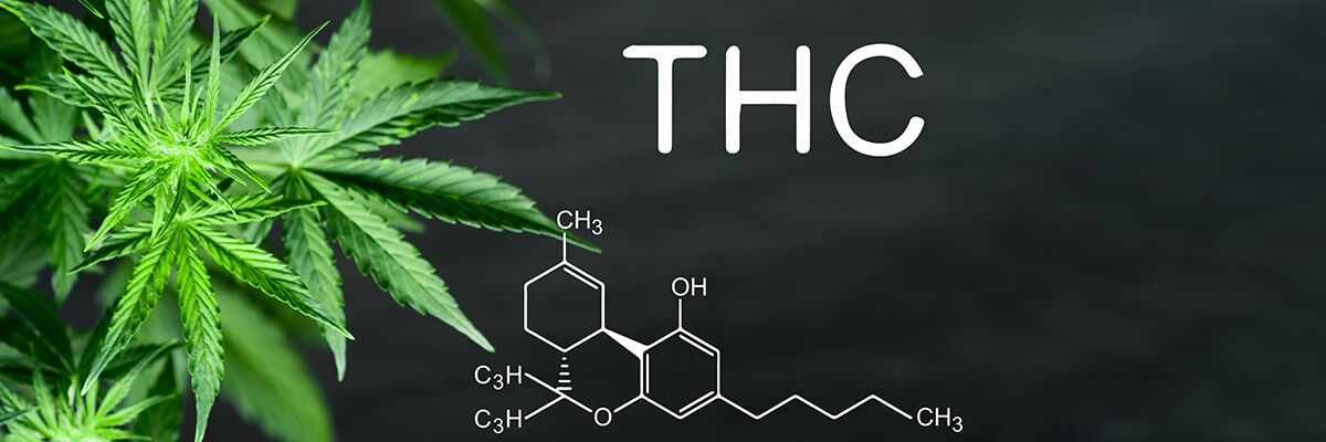 What Types of CBD Products Can Be Sold Online? 
